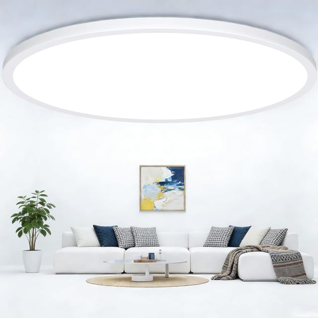 20" Large LED Flush Mount Ceiling Lights (1-Pack) – New
