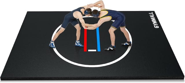 6.6 ft x 10 ft Foldable XPE Wrestling and Martial Arts Mat – New